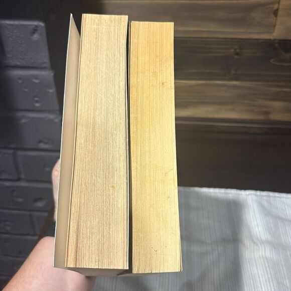 Tim LaHaye & Jerry B. Jenkins Left Behind Series Number 2 & 3 - Picture 4 of 5